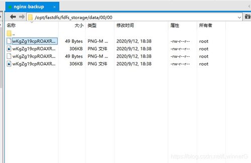 Linux CentOS 7 下搭建外網(wǎng)可訪(fǎng)問(wèn)的 FastDFS 結(jié)合 Nginx 圖片/文件服務(wù)器